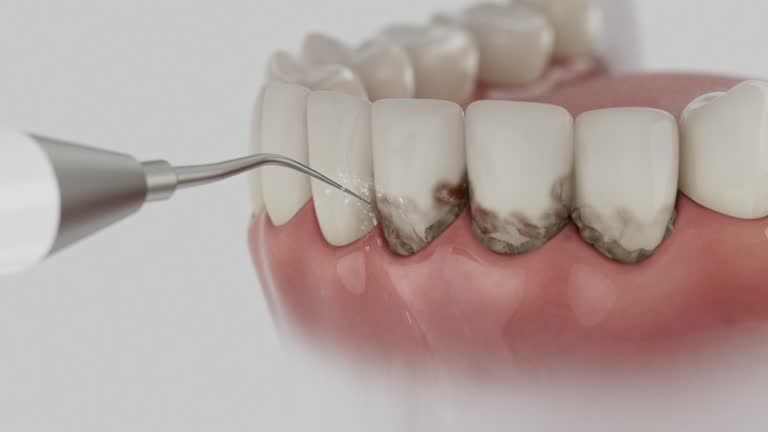 Reliable Dental contractor in Bonner Springs, KS by Dentist Open Now
